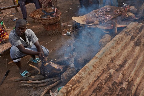 cooking over wood fire, near tiogo forest, Burkina Faso 